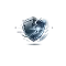 06